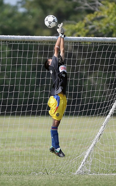 也让快船的 也让快船的