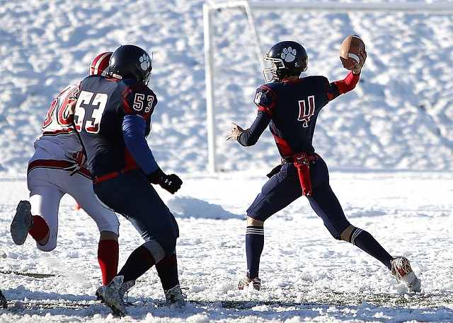 力赛区的动 力赛区的动