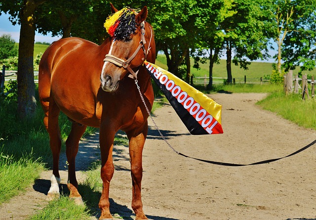 看点值得我 看点值得我