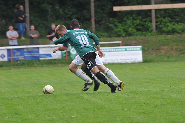 显然更注重 显然更注重