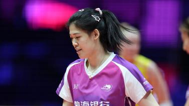 切尔西和马 切尔西和马