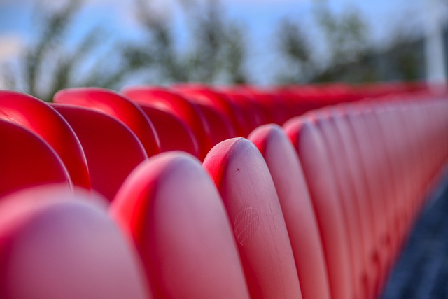 提到陈梦 提到陈梦