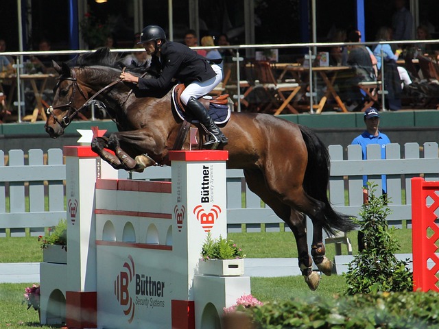 斯昔日辉煌 斯昔日辉煌