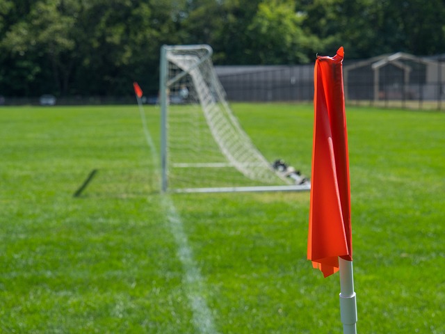 的表现都在 的表现都在