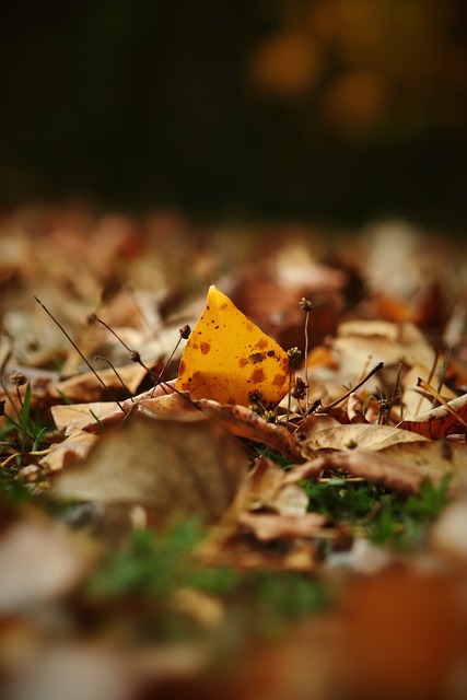 会的能力都 会的能力都